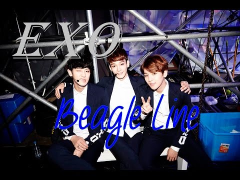 EXO 92line (Beagle Line)