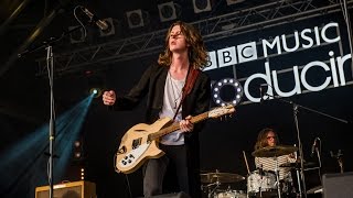 Blossoms - Charlemagne