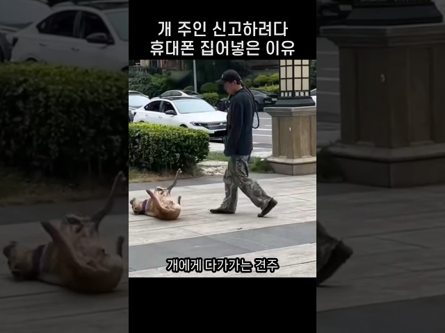"개가 왜 저러지?.." 길 한복판 누운 댕댕이가 발버둥쳤던 이유