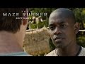 Button to run trailer #6 of 'The Maze Runner'