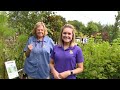 Sunday Gardener: Why fall is a great time to plant trees  - 03:03 min - News - Video