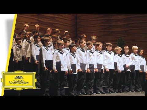 Vienna Boys Choir - Merry Christmas From Vienna - Rolando Villazón (Trailer)