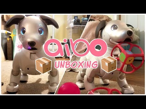 aibo 1000 unboxing, set-up, and first impressions!