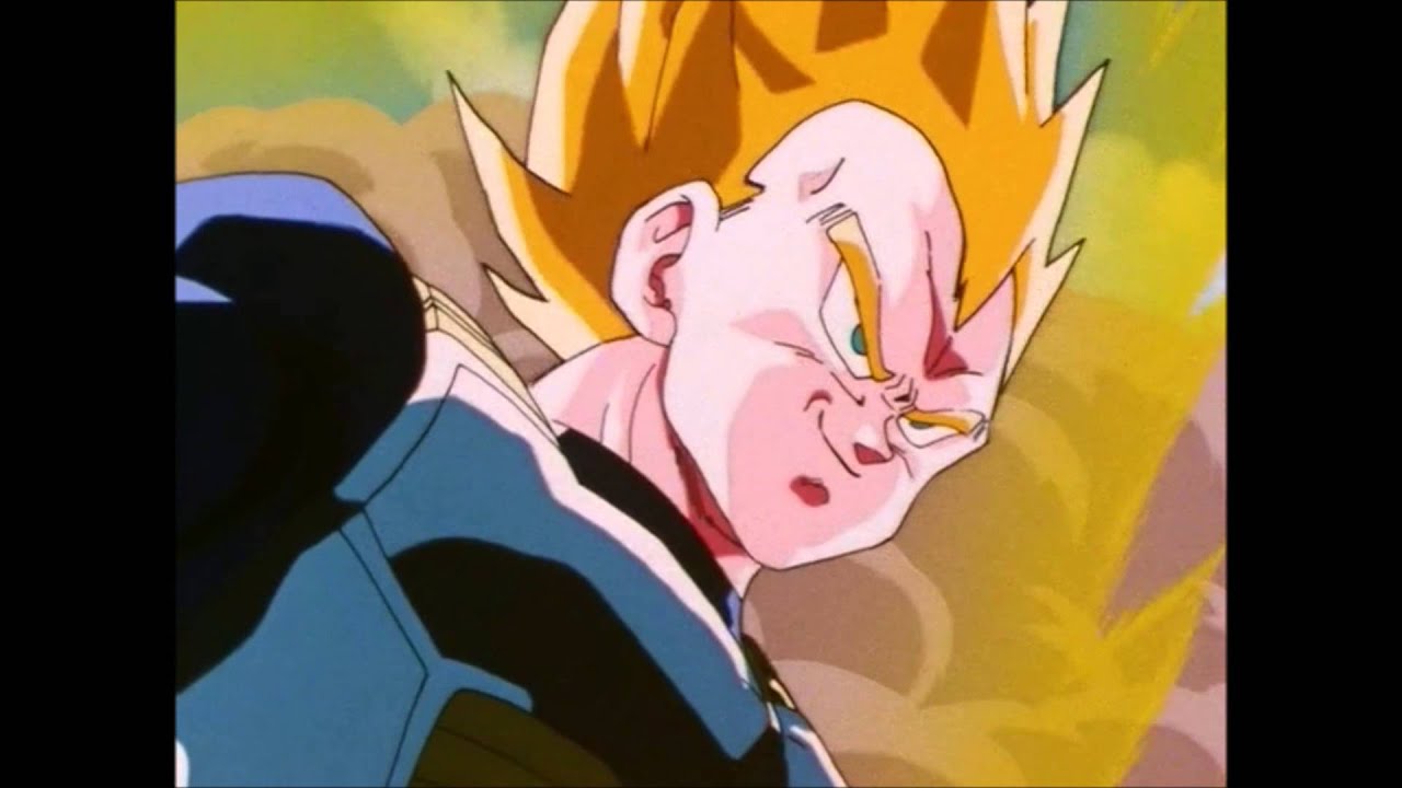 vegeta tfs