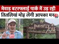 Rajasthan: Udaipur के Mewar Butterfly Park में उड़ रही हैं करीब 83 तरह की रंगीन तितलियां | Aaj Tak