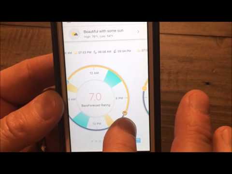 Introducing BassForecast – all-in-one planning tool to maximize bass fishing trips powered by AccuWeather® Introducing BassForecast – all-in-one planning tool to maximize bass fishing trips powered by AccuWeather®