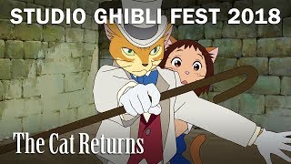 The Cat Returns - Studio Ghibli 