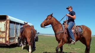 JT Ranch
