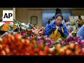 Mercado de flores en Colombia no quiere marchitarse, apuesta por San Valentín en EEUU