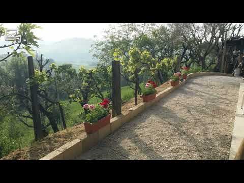 Video der Unterkunft
