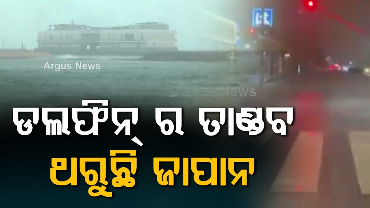 Super Typhoon Dolphin Hits Japan: 2.6 Lakh People Evacuated, Flights Cancelled | Argus News
