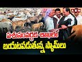 పశుసంవర్ధక శాఖ లో బయటపడుతున్న స్కామ్ లు | Sheep Distribution Scam | ABN Telugu