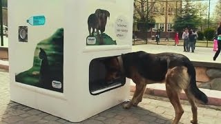 土耳其回收寶特瓶機，可換飼料餵流浪狗。
