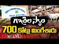 LIVE: Telangana Sheep Distribution Scam | గొర్రెల పంపిణీ స్కాం దర్యాప్తులో ఏసీబీ దూకుడు | 10TV