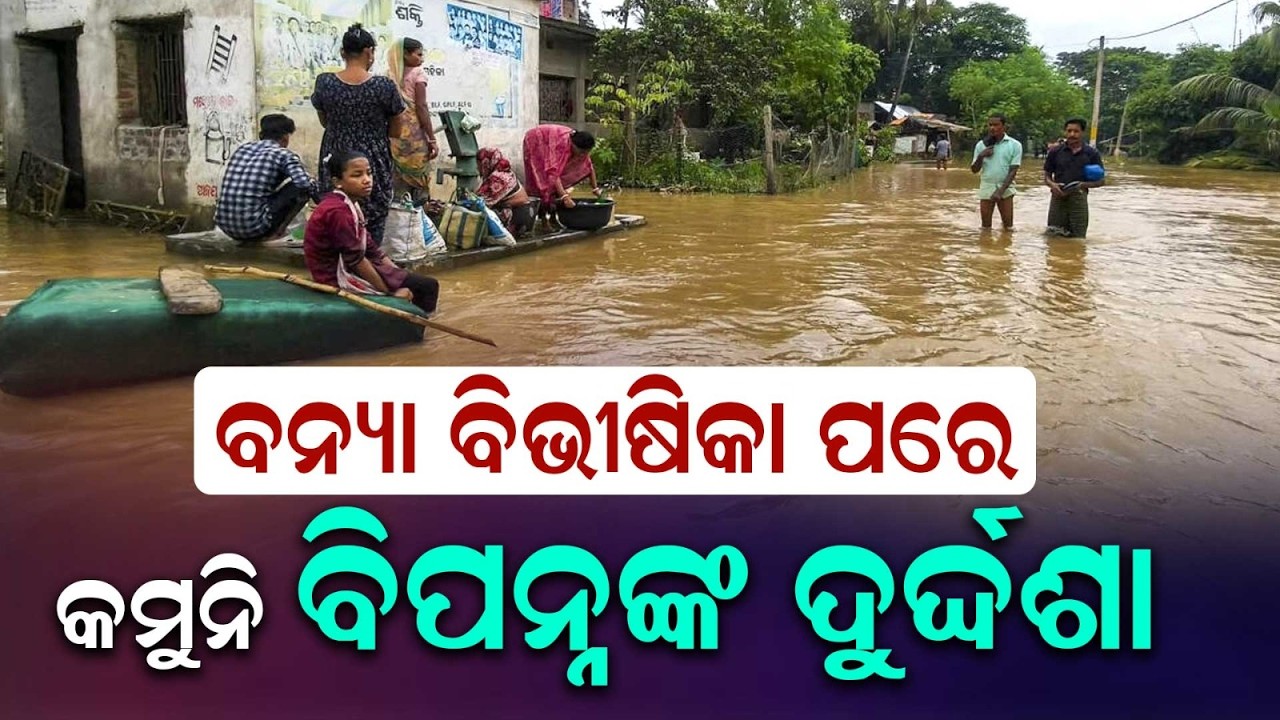 Subarnarekha River Flood Crisis: Massive Crop Loss In Balasore | Thousands Stranded | Argus News