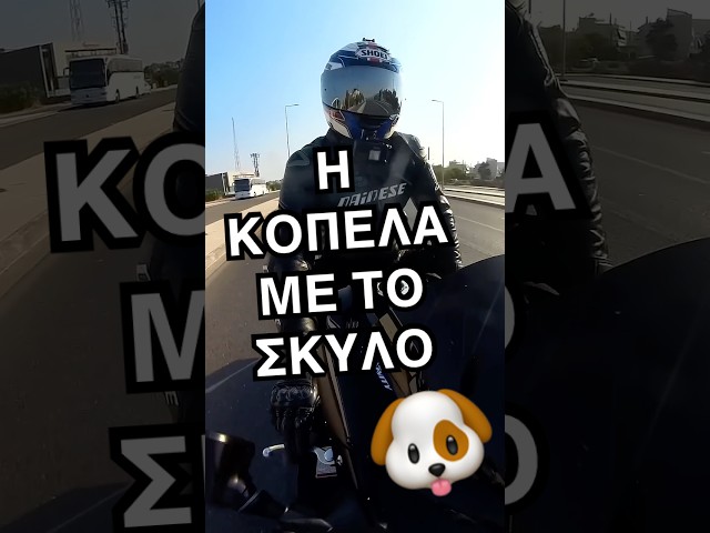 Η κοπέλα με το σκύλο! #automobile #bikelife #facts #dog #storytime #ελλαδα #σκύλοσ #τιμον #γελιο