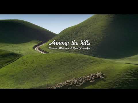 Among the Hills'