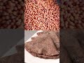 Learn how to make soft ragi roti at home and enjoy its wholesome goodness. 🤎 | #ytshorts - 00:48 min - News - Video