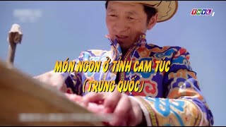 Món ngon ở tỉnh Cam Túc và Thiểm Tây, Trung Quốc || Ẩm thực nước ngoài