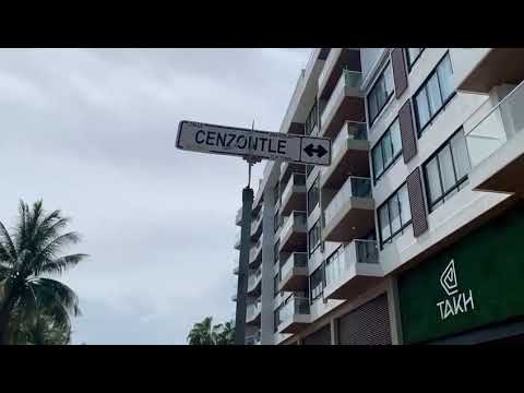 Property video