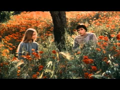 Fratello sole, sorella luna'
