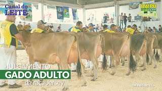 Itaipu Rural Show 2023 - Julgamento do Gado Adulto da Raça Jersey