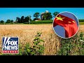 ‘ENOUGH IS ENOUGH’: Farmer sounds off on China stealing US farm tech