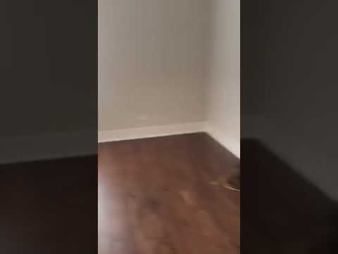 Listing Video