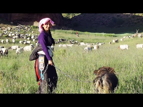 Khyi rgan'