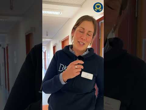 Praktikum, FSJ oder BFD im BK