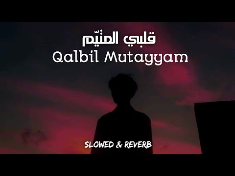 Qalbil mutay slowed and reverb | meher zain | lofi nasheed | lofi | nasheed