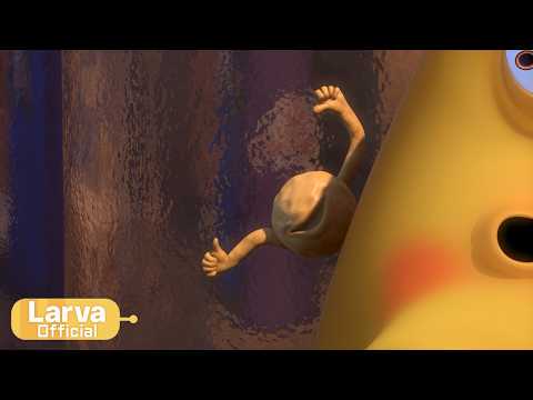 Larva - Booger