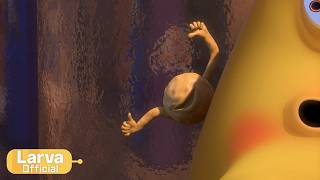Larva - Booger