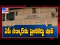 AP High Court refuses to interfere in local body elections