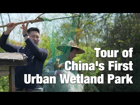 China Matters Characterizes the Country's First National Urban Wetland