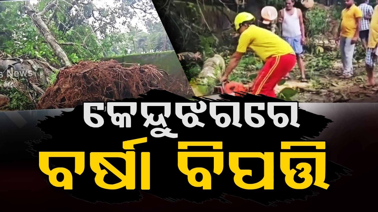 Heavy Rain In Keonjhar: Huge Tree Falls On Road In Ghatagaon, School Wall Damaged | Argus News