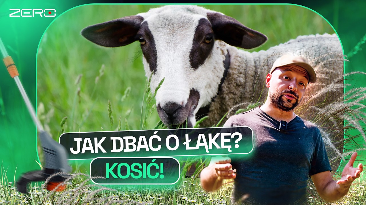 PO CO NAM DZIKIE ŁĄKI I JAK O NIE DBAĆ? CZYLI CO W TRAWIE PISZCZY I GATUNEK ZERO