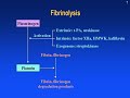 Approach for bleeding By Dr TAMER ELBEDEWY