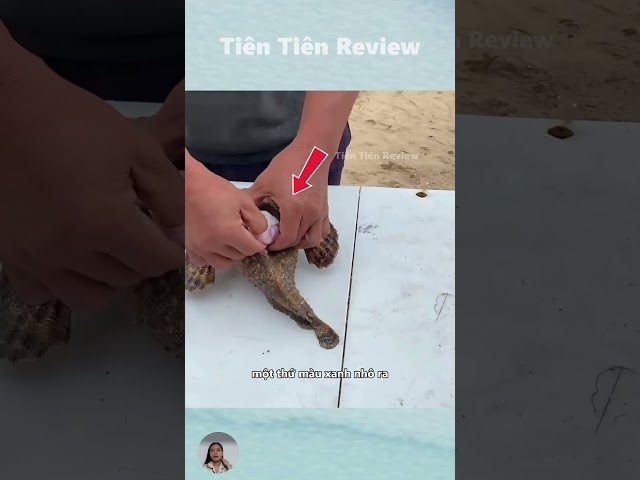 Anh chàng này đã phát hiện ra điều bất ngờ trong bụng xác của con cá đá #short #shorts #viralvideo