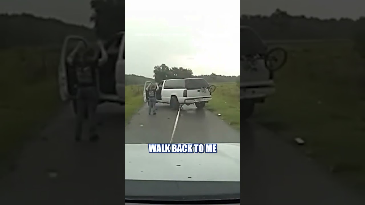 NEW: Traffic stop turns into a chase — and deputies say it ended with a Grappler #police #shorts