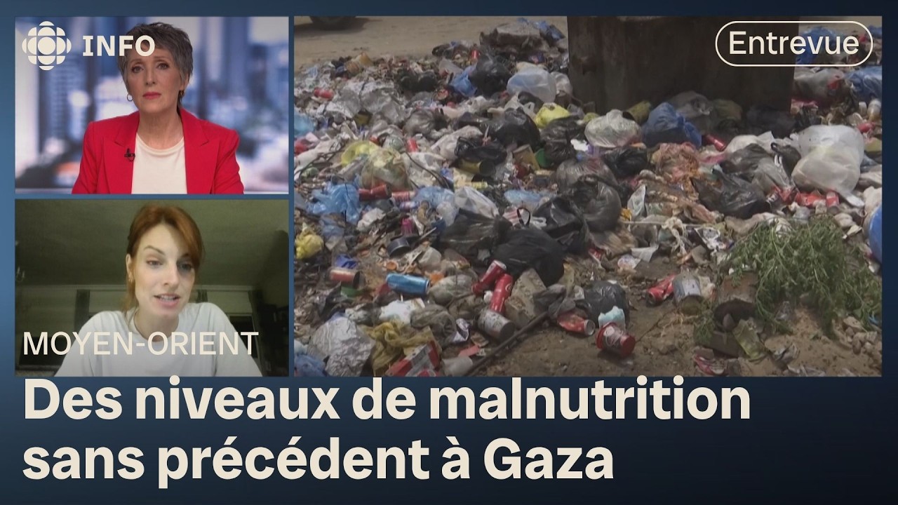 Malnutrition à Gaza : des impacts tragiques sur les mères et les nouveaux-nés | Sur le terrain