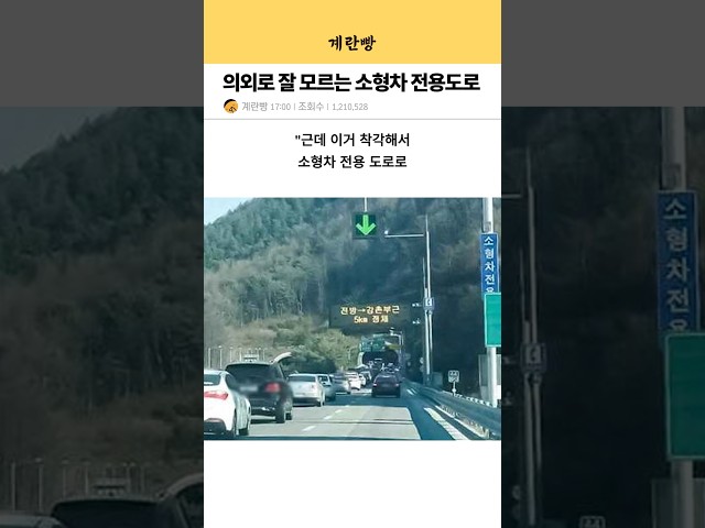 의외로 잘 모르는 소형차 전용도로ㄷㄷ