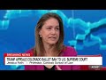 Panelists react to Trumps appeal to the US Supreme Court(CNN) - 08:49 min - News - Video