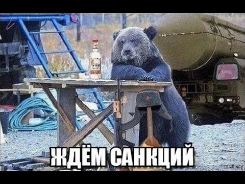 Правительство РФ направляет пенсионные деньги на рискованные стартапы - Цензор.НЕТ 1096