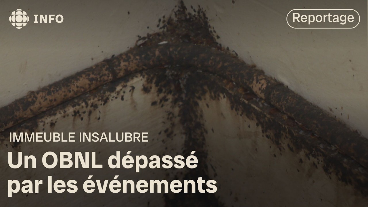 Des logements insalubres | Le téléjournal 18h