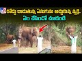 Viral video of man foolish behaviour in front of elephant sparks outrage 