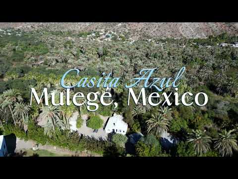 Property video