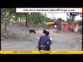 Watch: Bear Attack in Maharashtra: Young Man's Miraculous Escape