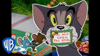 Tom a Jerry - Doma na Vánoce