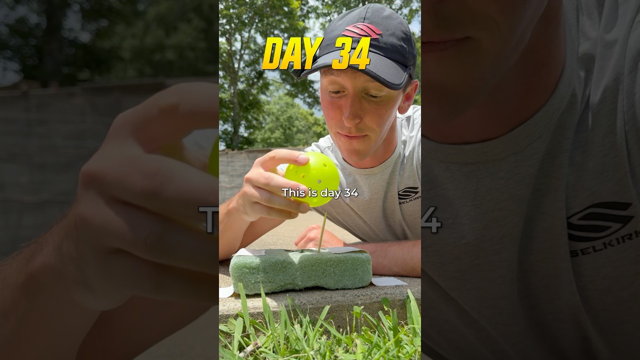 Day 34!